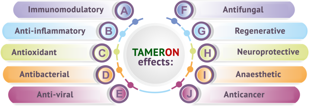 Лекарственный препарат Тамерон – Лекарственный препарат Тамерон – путь .